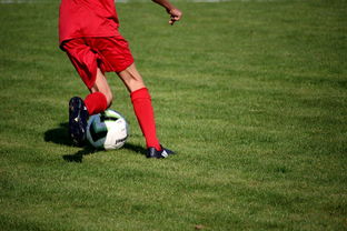 九游官网首页-CBA球队完善伤病防护体系保障运动员健康和职业生涯，cba球员伤情报告